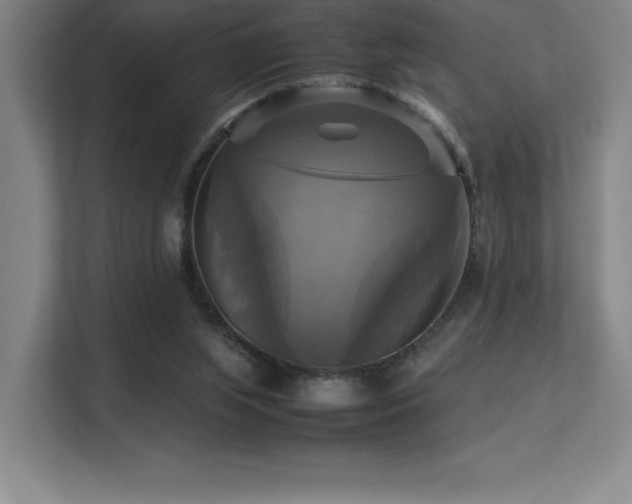 X0000113250063200909101436