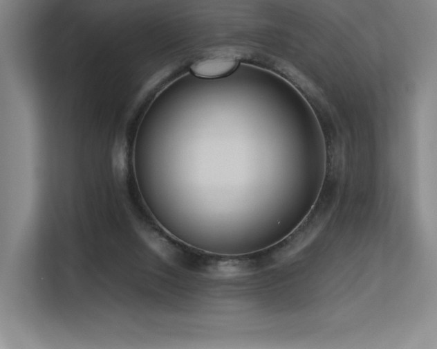 X0000113250064200909101436