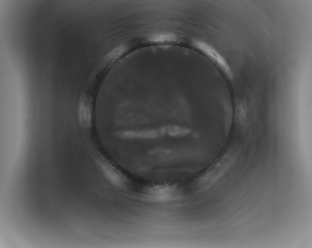X0000113250065200909101436