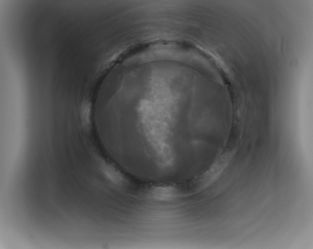 X0000113250066200909101437