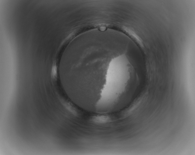 X0000113250067200909101437