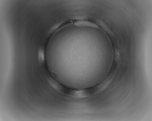 X0000113250068200909101437
