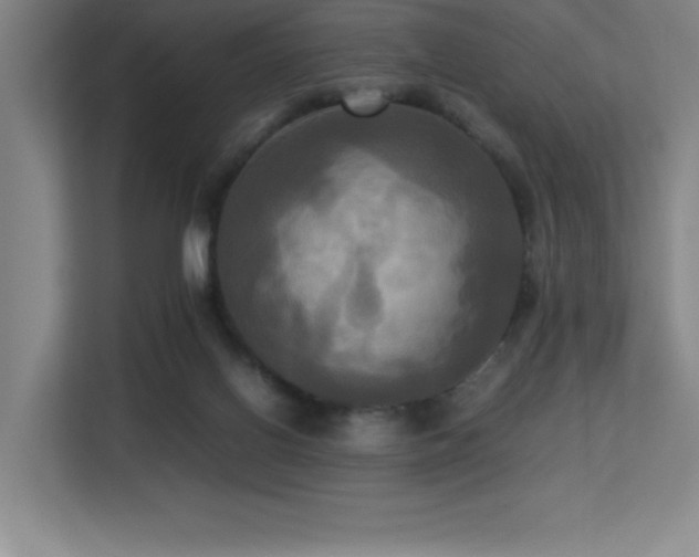 X0000113250070200909101437