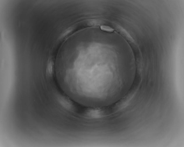 X0000113250071200909101437