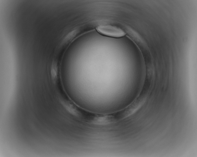 X0000113250072200909101437