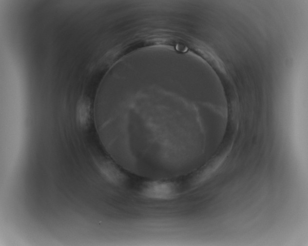X0000113250073200909101437