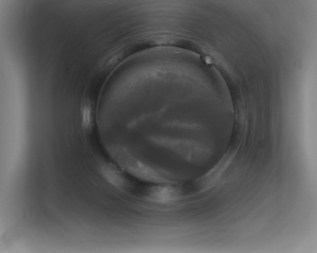 X0000113250074200909101437