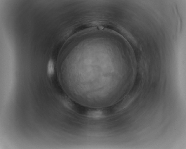 X0000113250075200909101437
