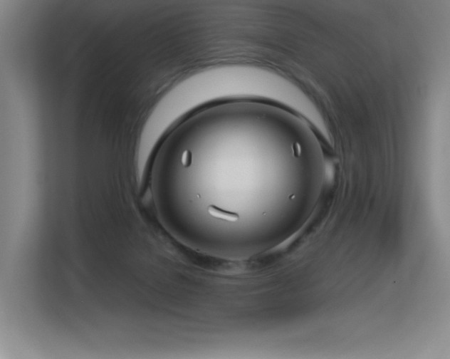 X0000113250076200909101437