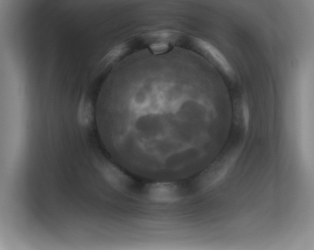 X0000113250077200909101437