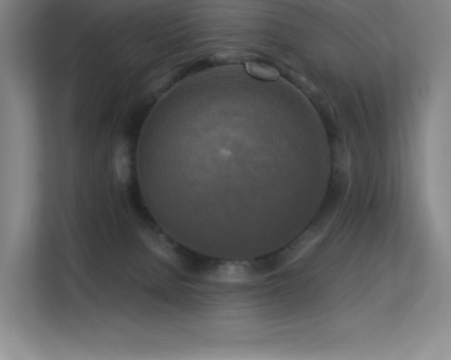 X0000113250080200909101437