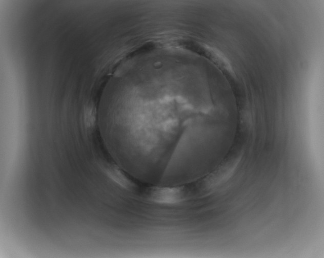 X0000113250081200909101437