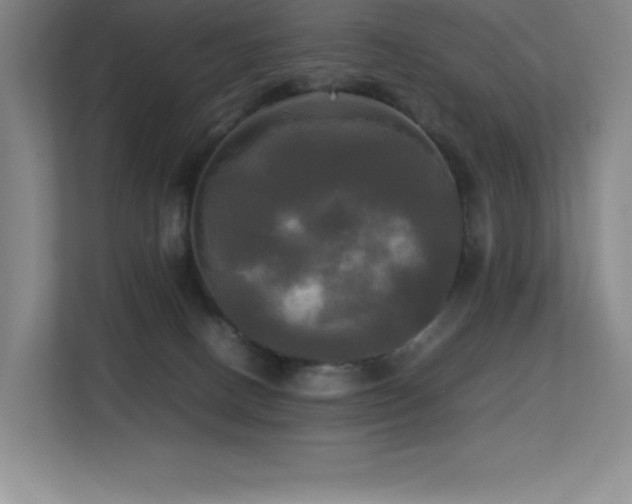 X0000113250082200909101437