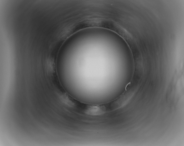 X0000113250083200909101437
