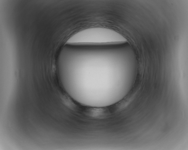 X0000113250085200909101437