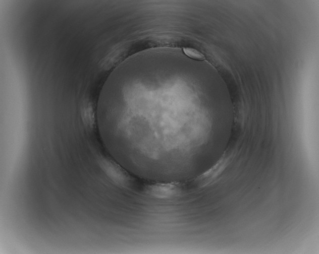 X0000113250086200909101437