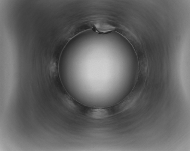 X0000113250087200909101437