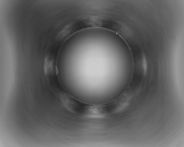 X0000113250088200909101437