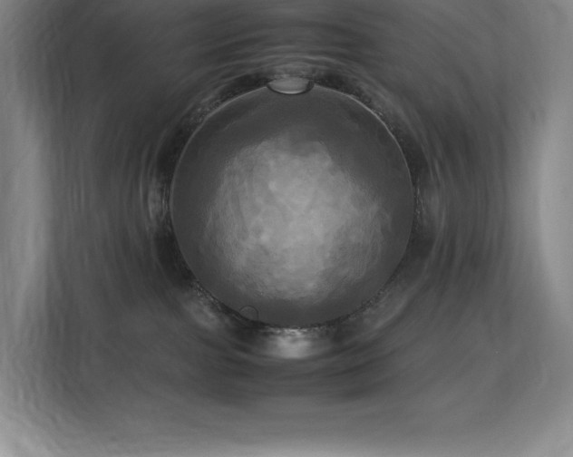 X0000113250091200909101437