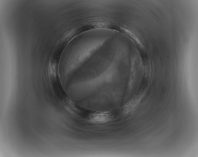 X0000113250093200909101437