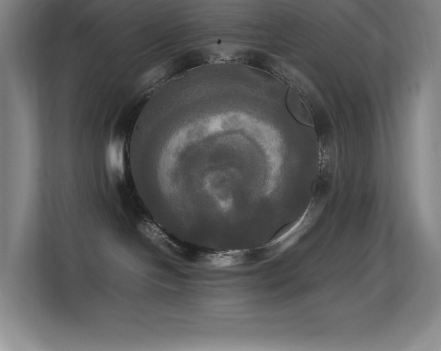 X0000113250094200909101437