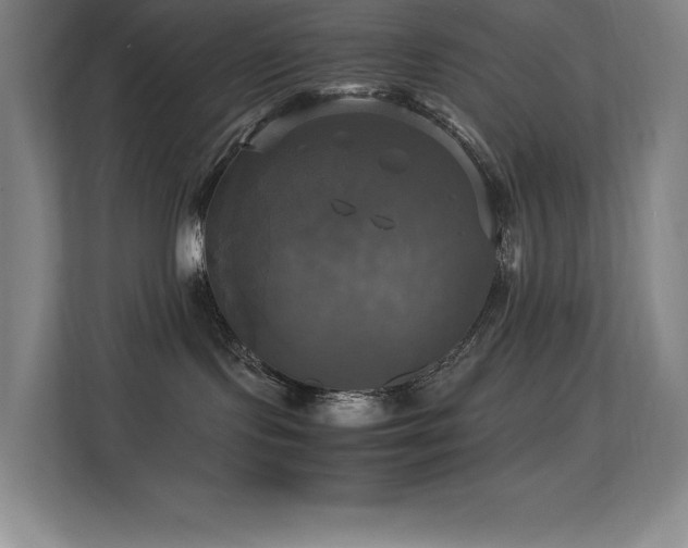 X0000113250095200909101437