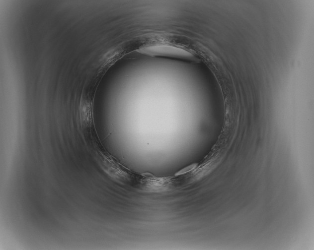 X0000113250096200909101437