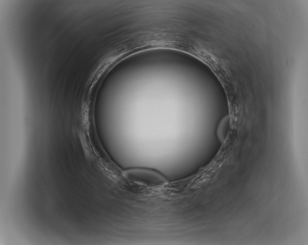 X0000113250098200909101436