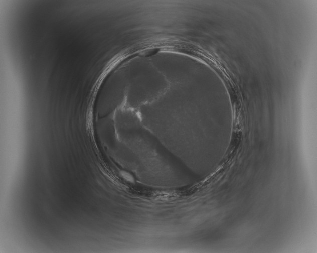 X0000113250099200909101436