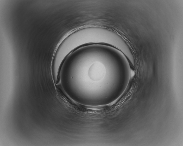 X0000113250100200909101436