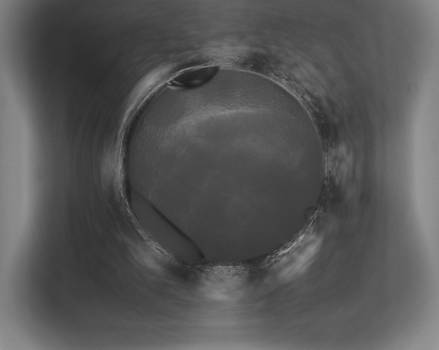 X0000113250101200909101436
