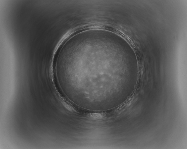 X0000113250102200909101436