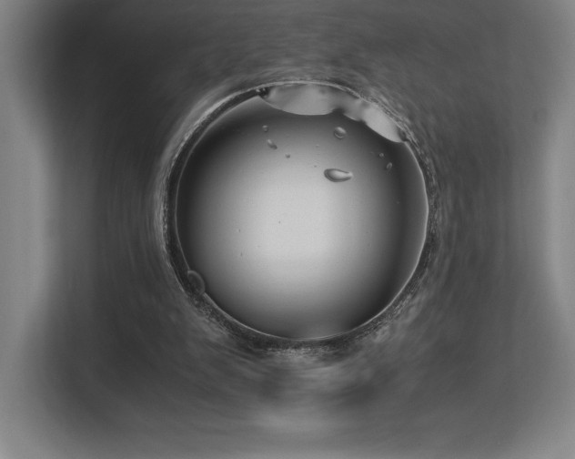 X0000113250103200909101436