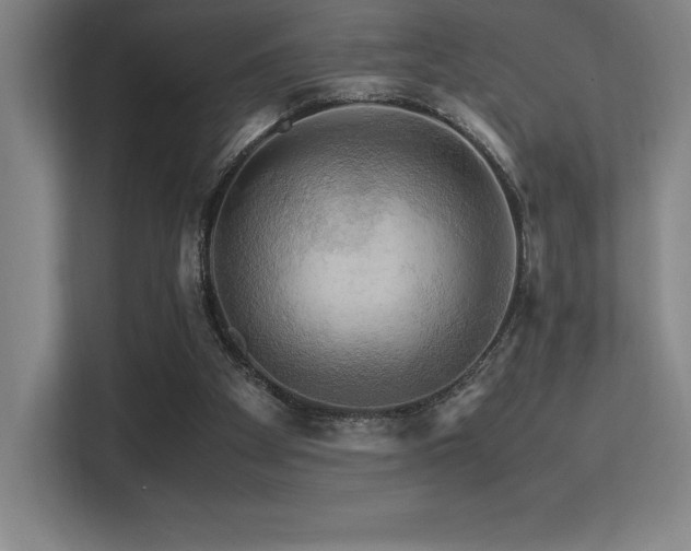 X0000113250105200909101436