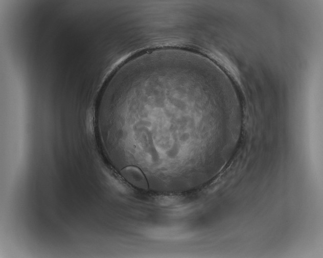 X0000113250107200909101436
