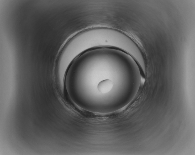 X0000113250108200909101436