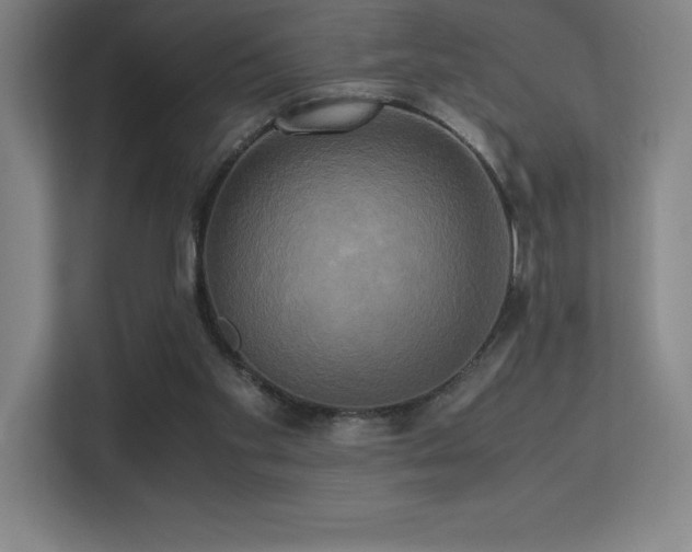 X0000113250109200909101436