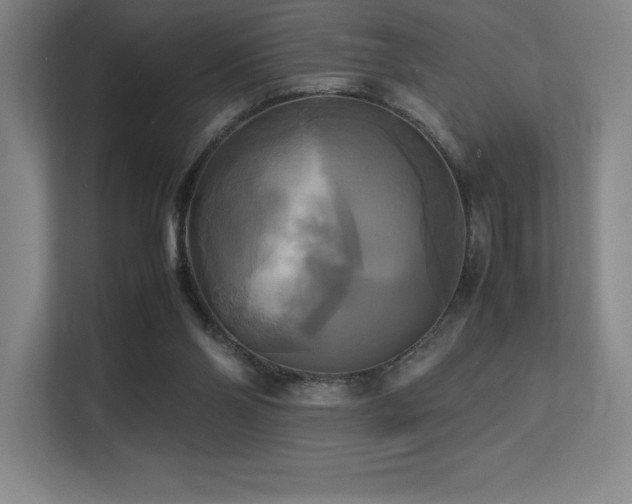 X0000113250110200909101436