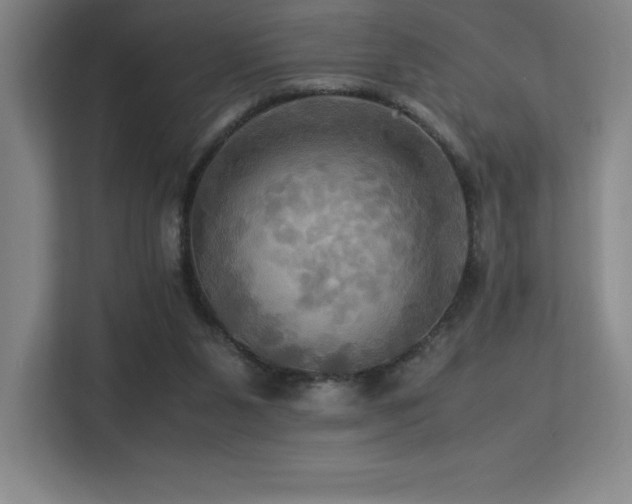 X0000113250111200909101436