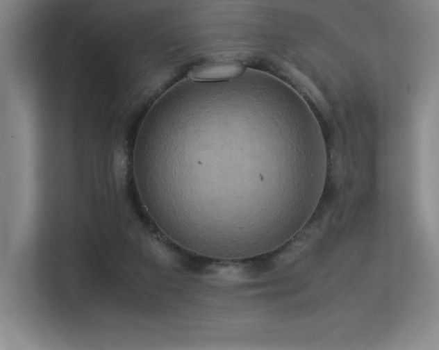 X0000113250113200909101436