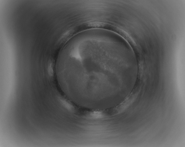 X0000113250114200909101436