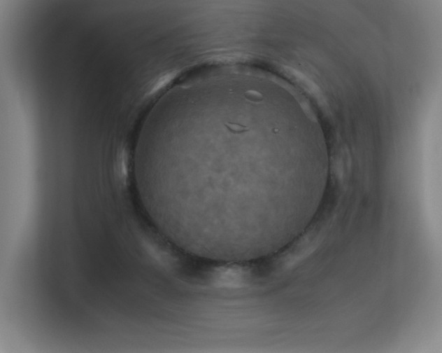 X0000113250115200909101436