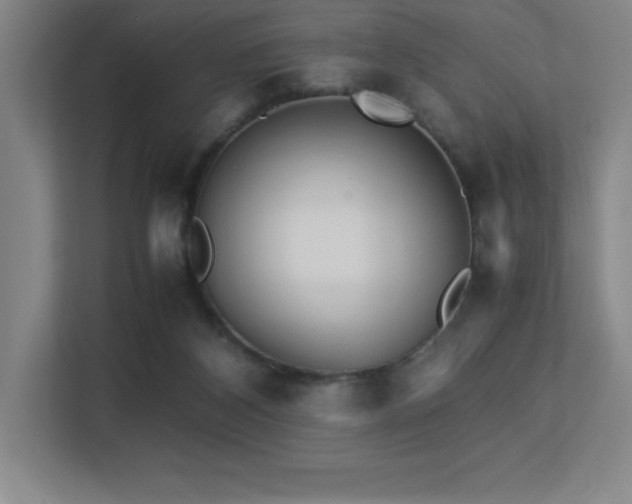X0000113250116200909101436