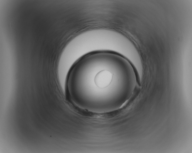 X0000113250117200909101436