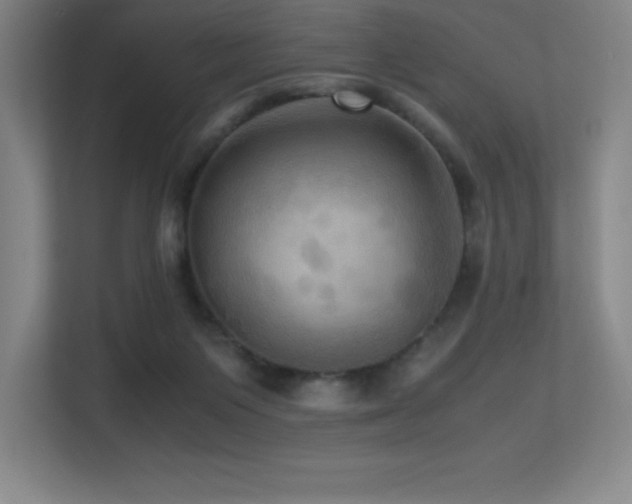 X0000113250119200909101436
