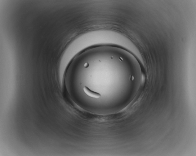 X0000113250120200909101436