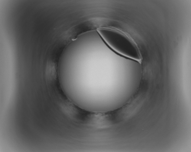 X0000113250121200909101436