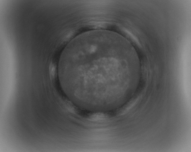 X0000113250123200909101436