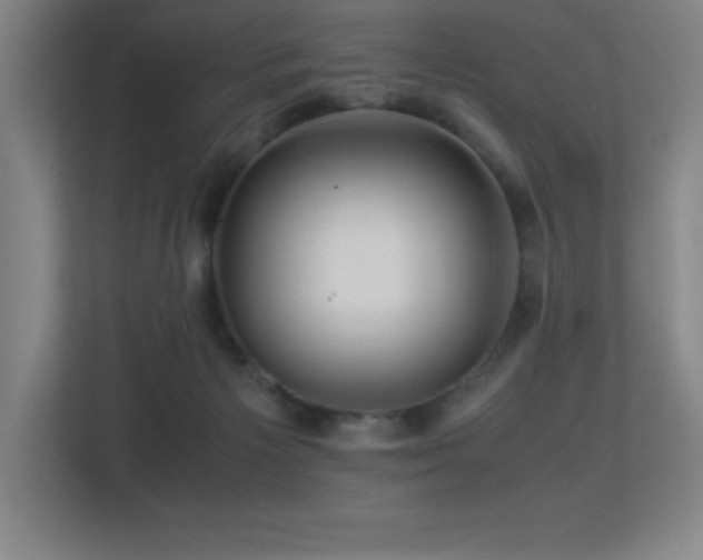 X0000113250125200909101436