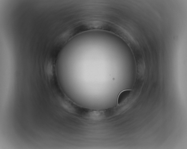X0000113250126200909101436